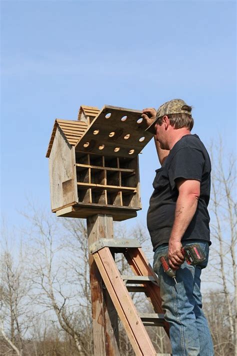 metal martin bird houses|best purple martin house design.